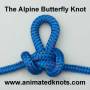 alpine_butterfly_knot.jpg
